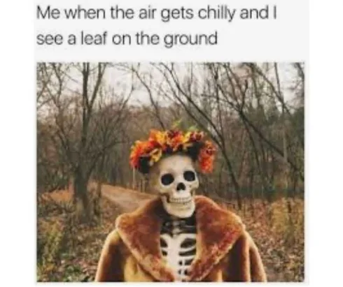 Fall-Fashion Fall Fashion