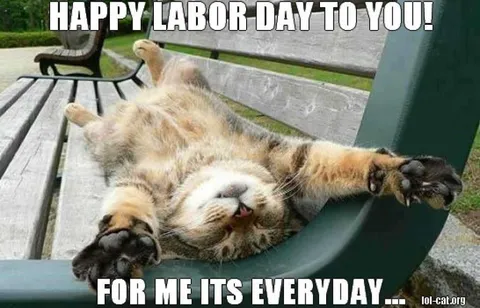 Holdiday-Happy Funny Labor Day Memes Cat