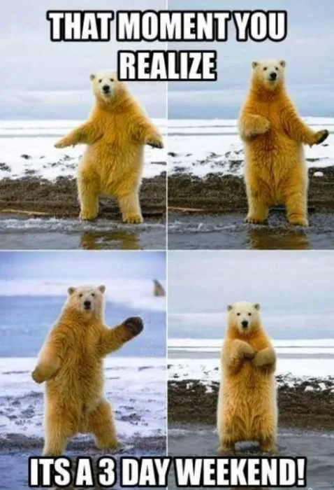 Holiday-3-Day Funny Labor Day Memes Polar Bear Doing The Shuffle