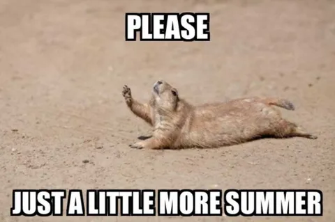 Holiday-Just-Little-More Funny Labor Day Memes Groundhog