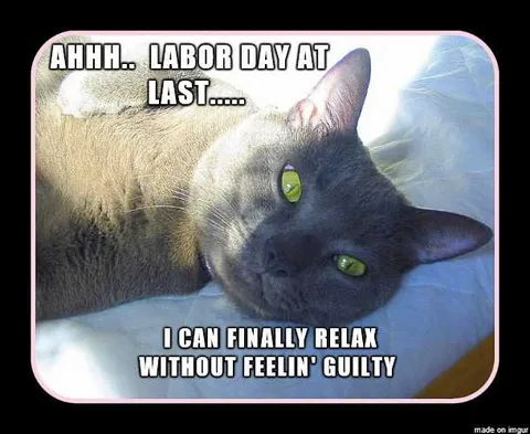 Holiday-Relax-Guilty Funny Labor Day Memes Cat Relax Without Feeling Guilty