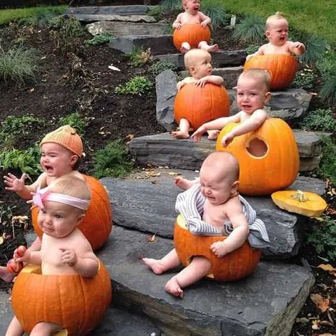 Babies-Pumpkin Halloween Fail Baby Pumkin