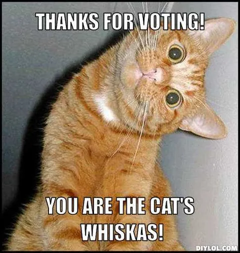 Meme-Thanks-For-Voting Voting Memes 2020 Cat's Whiskas