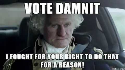 Meme-Vote-Dammit Voting Memes 2020 Respect Your Forefathers