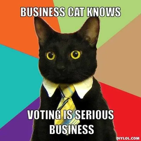 Meme-Voting-Business-Cat Voting Memes Business Cat