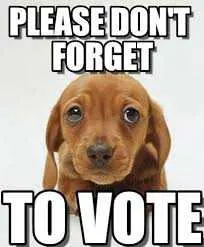 Vote-Dont-Forget Funny Voting Memes Puppy How Can You Resist Them Puppy Eyes