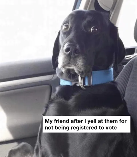 Voting-Registered Funny Voting Memes Dog Shocked And Surprised