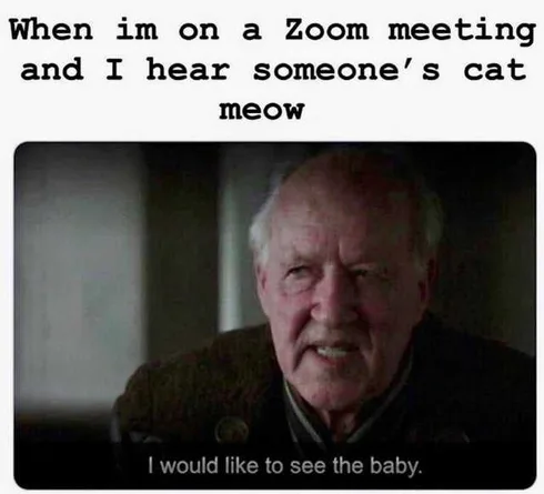 Encnhzixyaapzrr Funny Mandalorian Meme Zoom Meow