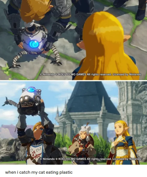 Cat Funny Zelda Memes Or Cat Eating Plastic