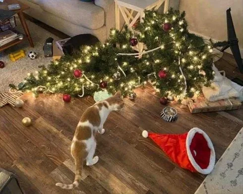 Cats Vs Christmas Tree Memes Take Down
