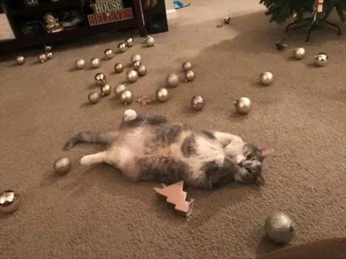 Funny Cats Vs Christmas Tree Meme Got That Last Ball