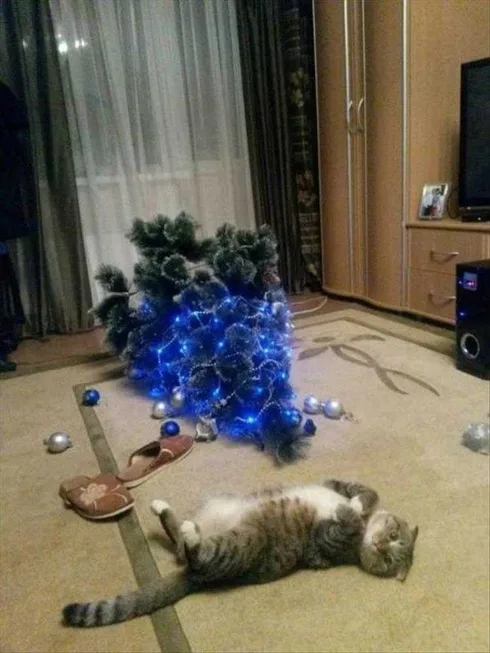 Cats Vs Christmas Tree Meme Mission Accomplished