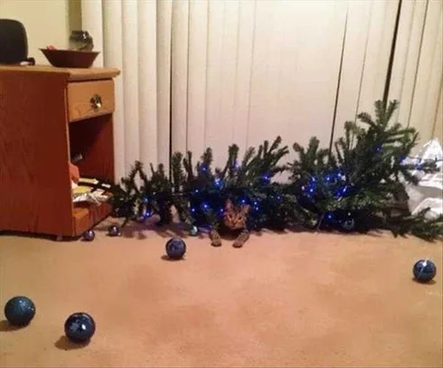 Cat Vs Christmas Tree Memes It Got Me.