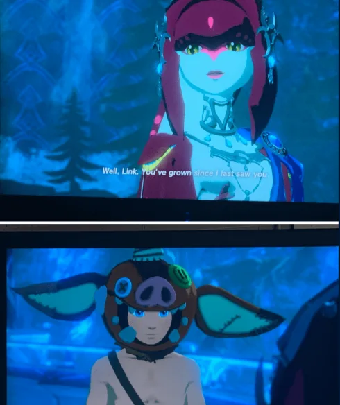 Link Grew Zelda Memes Link Grown