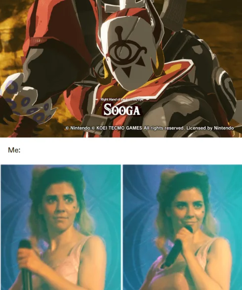 Sooga Funny Zelda Meme Sooga