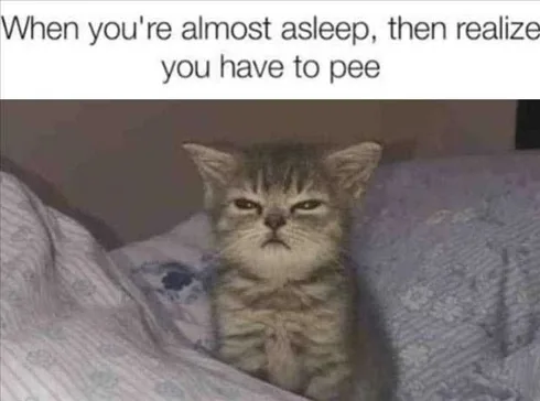 Funny Pictures With Captions Have To Pee