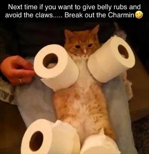 Funny Pictures With Captions Safe Massages