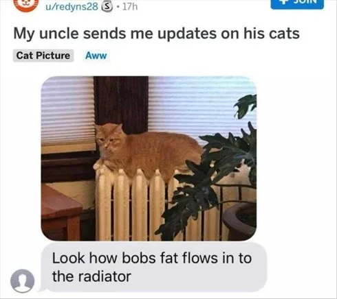 Funny Pictures With Funny Caption Fat Melting