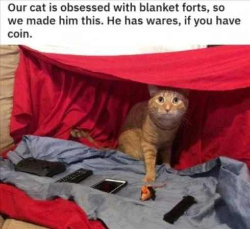Best Funny Cat Memes Salesman