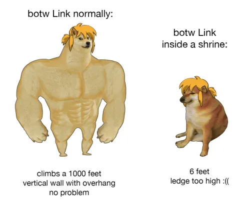 Tumblr_2F19782Bb7927Bd7517690431B9De638_E83De9D0_1280 Zelda Link Meme Link Oddities
