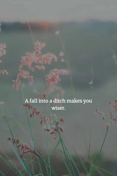 Chinese-Proverbs-To-Enlighten-Your-Mind-12 Chinese Proverbs Learn Through Failure