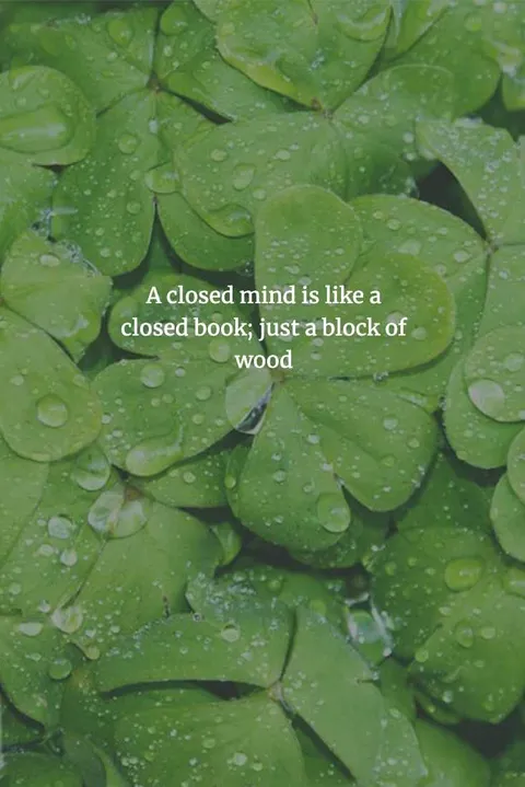 Chinese-Proverbs-To-Enlighten-Your-Mind-16 Chinese Proverb Being Close Minded Is To Be Useless