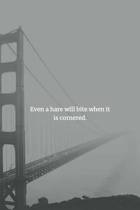Chinese-Proverbs-To-Enlighten-Your-Mind-19 Wise Chinese Proverb When Left With No Choice Even Something Harmless Will Attack