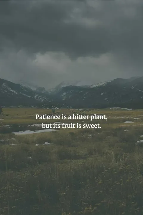 Chinese-Proverbs-To-Enlighten-Your-Mind-24 Chinese Proverbs Patience May Be Hard To Exercise, But The Results Will Be Worth It