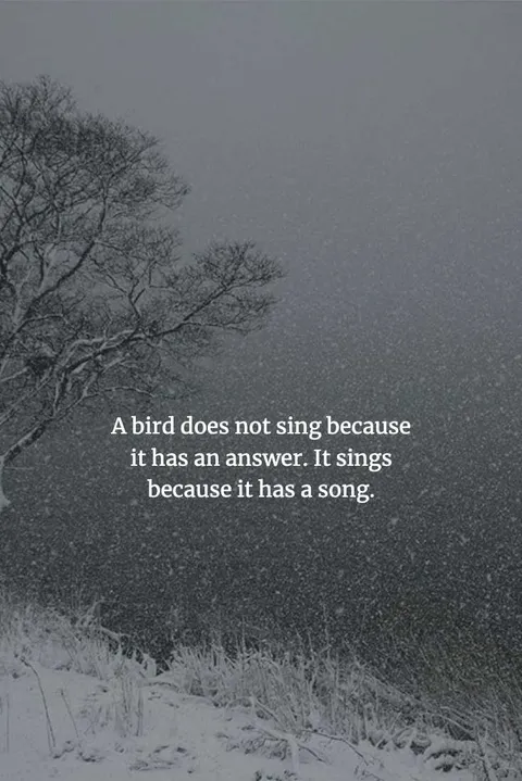 Chinese-Proverbs-To-Enlighten-Your-Mind-5 Wise Chinese Proverbs Express Yourself Purposefully