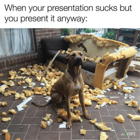 Funny Dogs And Cats Pictures Presentation Eaten By Dog... Honest