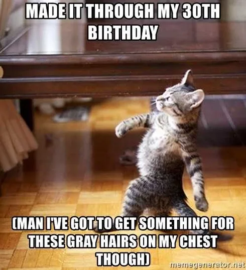 30Th-Birthday-Meme-Cat-2 30Th Birthday Memes