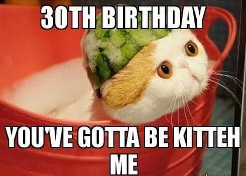 30Th-Birthday-Meme-Cat 30Th Birthday Memes