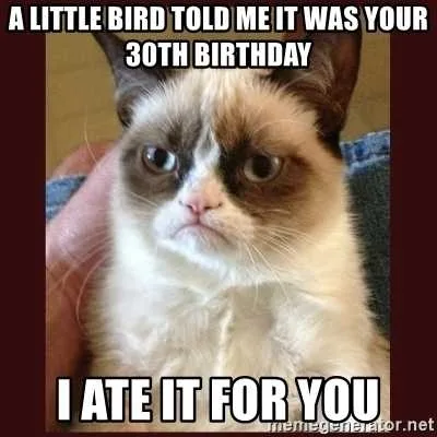 30Th-Birthday-Meme-Grumpy-Cat 30Th Birthday Memes