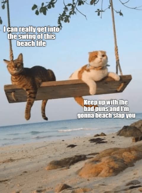 24 Funny Beach Memes Because It's That Time