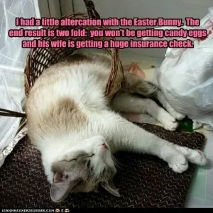 Funny Easter Cat Memes