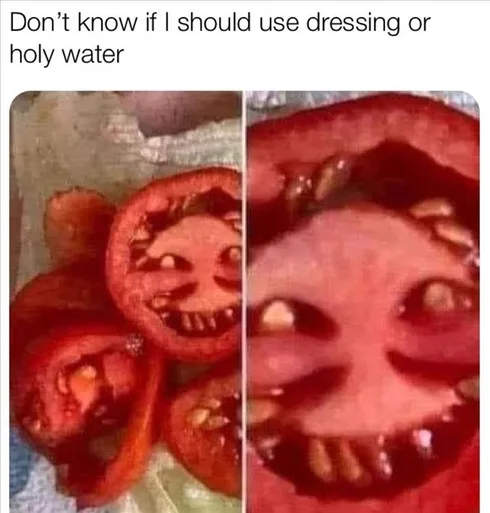 Funny Life Memes And Quotes