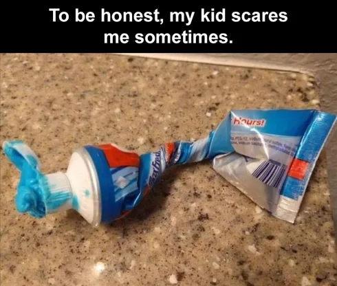 Funny Life Memes And Quotes