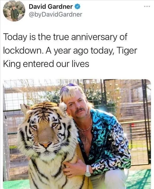 Funny Life Memes And Quotes