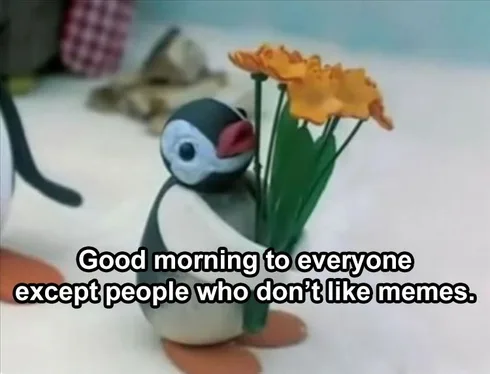 Funny Life Memes And Quotes