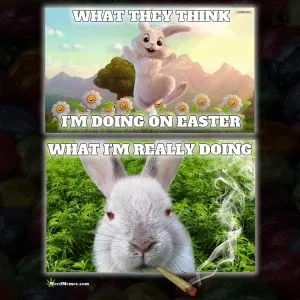 Funny Happy Easter Memes-Easter-Bunny-Weed-Memes Funny Happy Easter Memes