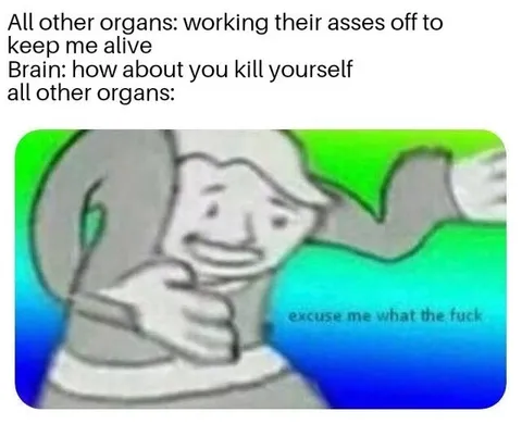 Depression-Memes-Organs Clean Depression Memes