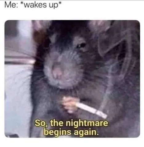 Depression-Memes-Rat Depression Memes Pics