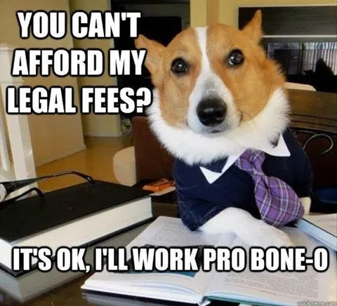 Top 28 Funny Cute Pet Memes Of The Day Going To The Dogs