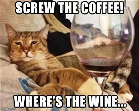 Top 28 Funny Cute Pet Memes Of The Day Its That Time