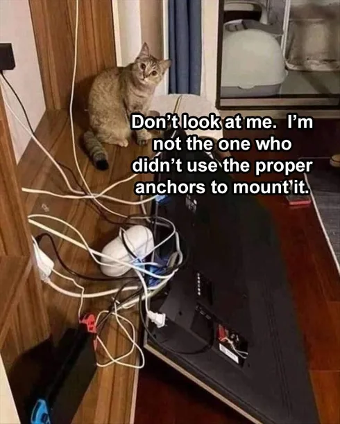 Cute Animal Memes Pics