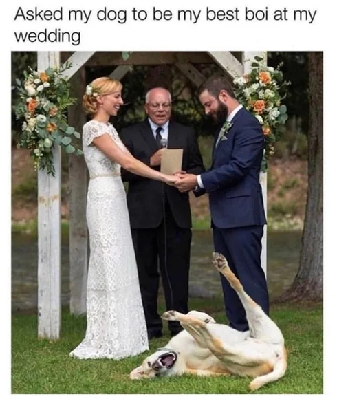 15 Funny Memes For Newly Wed Couples