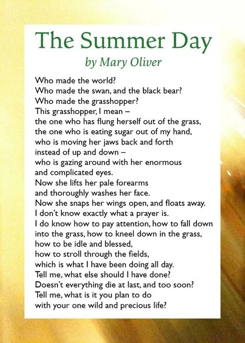 15 Beautiful Summer Poems To Read