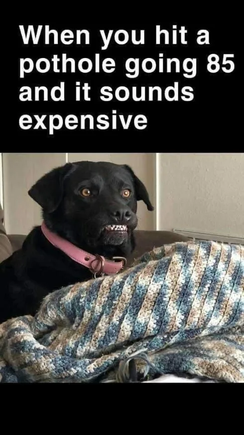 31 Relatable Memes That Will Make You Laugh Out Loud