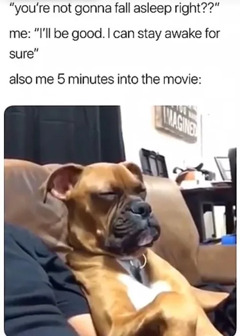 31 Relatable Memes That Will Make You Laugh Out Loud