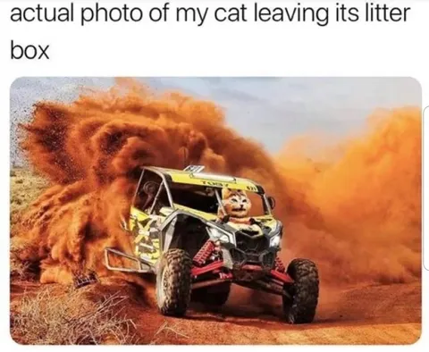 31 Relatable Memes That Will Make You Laugh Out Loud